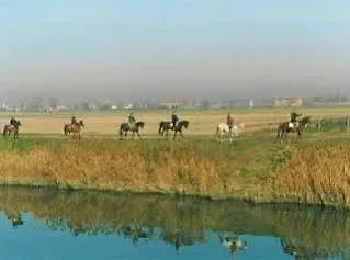 Casa de hóspedes Casa Del Miele