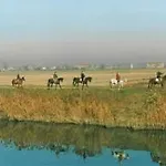 Гостевой дом Casa Del Miele